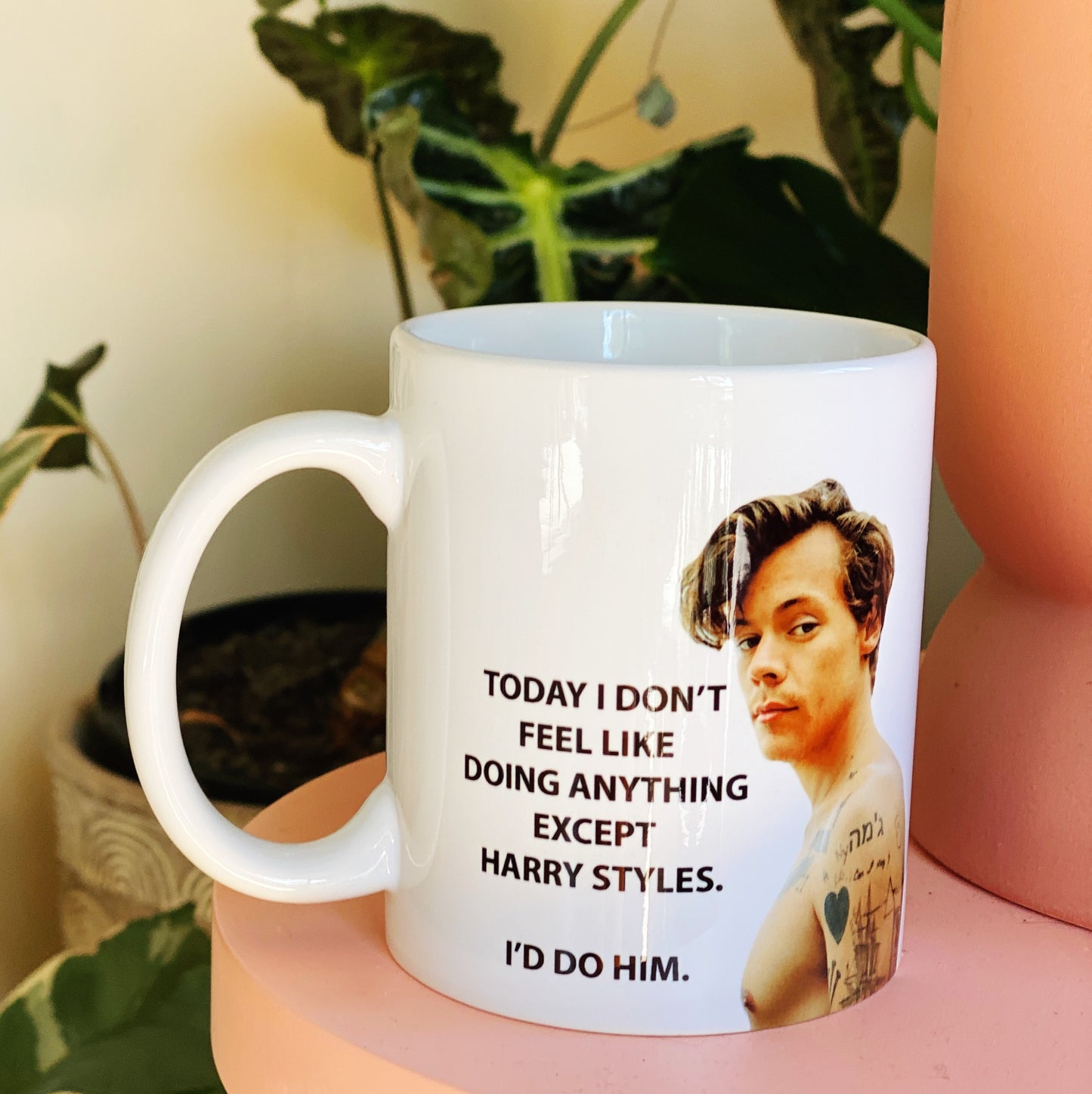 I’d do Harry styles mug