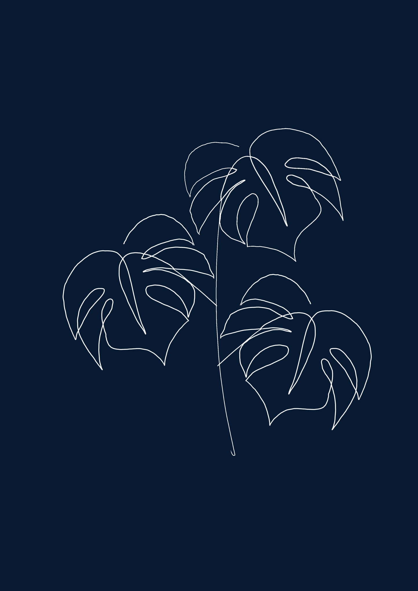 Free Navy Monstera Line