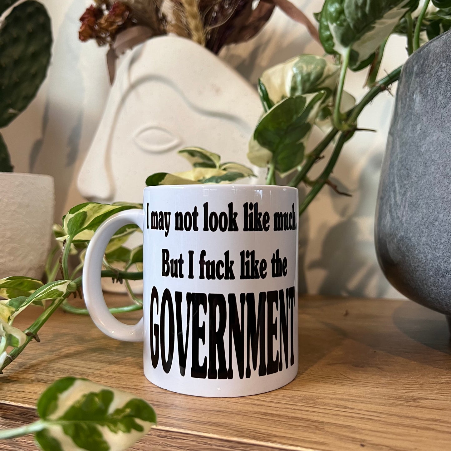 Like the government mug